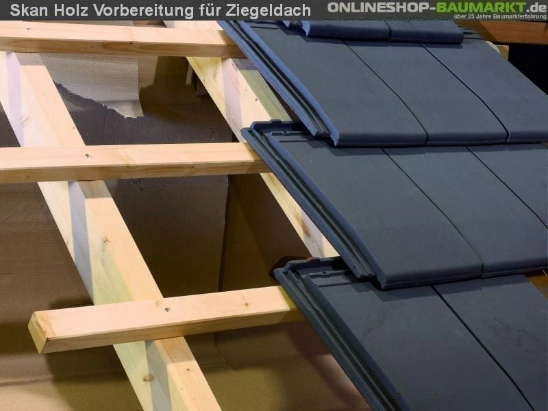 Skan Holz Carport Schwarzwald 424 x 772 cm mit Rückwand - Image 7